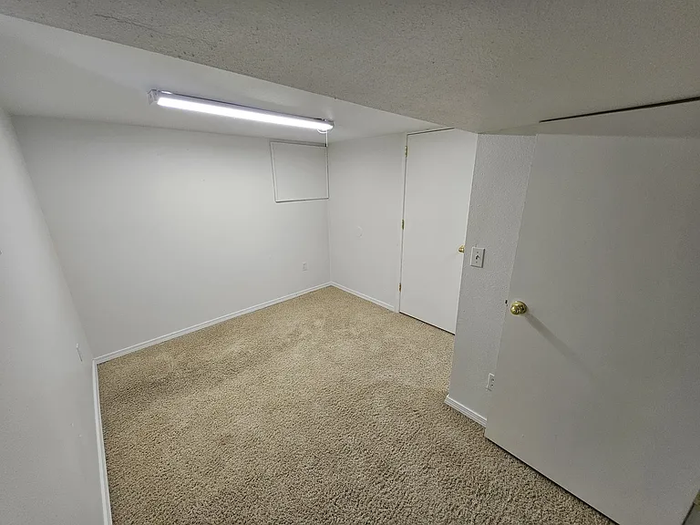 Basement Office