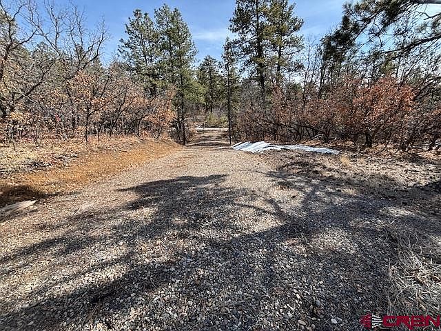 1st image of 2308 Bull Elk Place