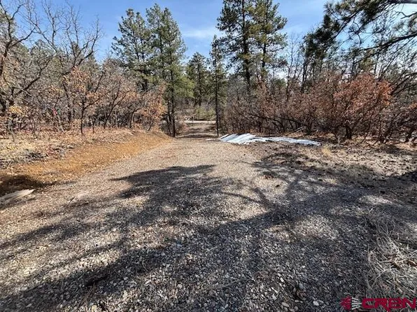 2308 Bull Elk Place, Pagosa Springs, CO 81147