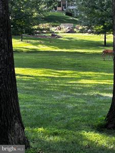 3301 S Leisure World Blvd #99-1G, Silver Spring, MD, 20906