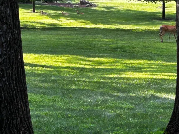 3301 S Leisure World Blvd #99-1G, Silver Spring, MD 20906