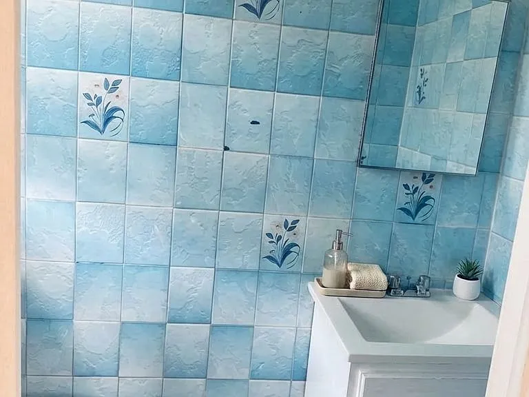 Primary bedroom's bathroom (Half)