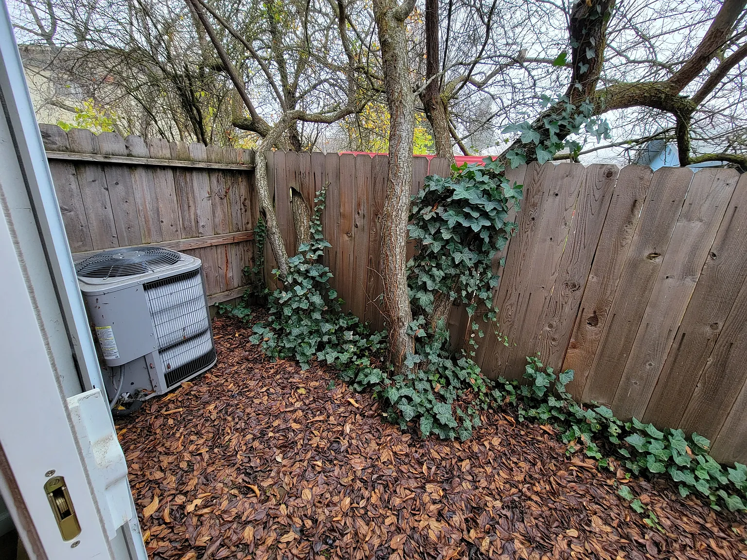 54 South Haskell Street - 1 — Photo 2