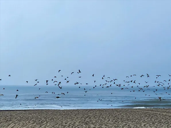 875 La Playa St APT 180, San Francisco, CA 94121