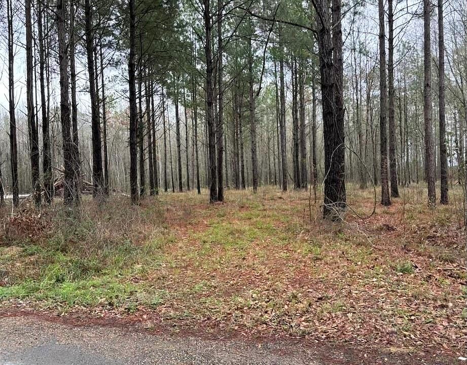 1st image of LOT 1 Newsome Rd