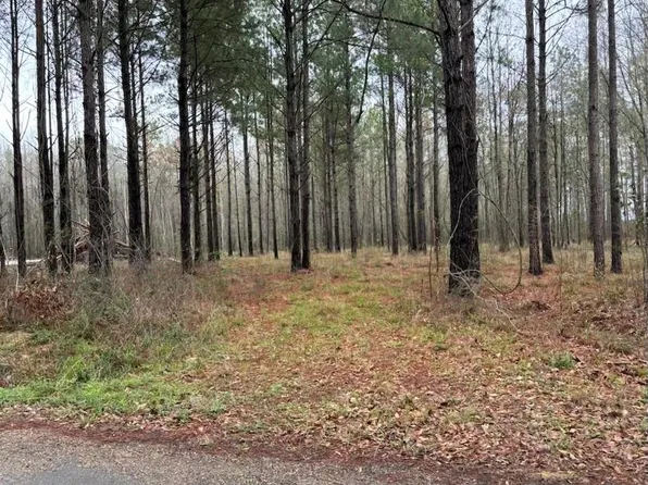 LOT 1 Newsome Rd, Pineville, LA 71360