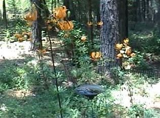 16492 Frenchtown Rd, Brownsville, CA