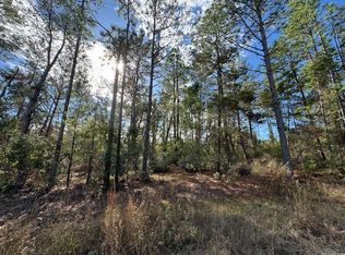 NE 133rd St #1, Fort Mc Coy, FL 32134