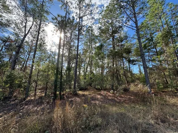 NE 133rd St #1, Fort Mc Coy, FL 32134