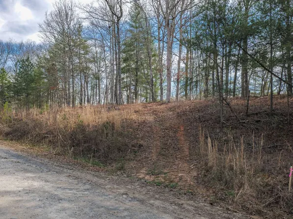 LOT 79 Old Toccoa Loop, Mineral Bluff, GA 30559