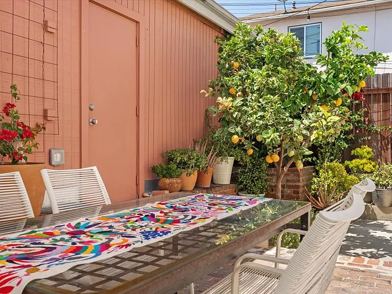 Patio with huge shade canopy, edison string lights, an exterior power plug so you can sit outside and work on your computer, tons of plants, and a pink lemonade lemon tree!