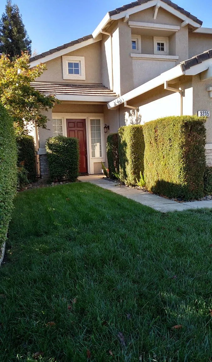 Europa Street, Roseville — Photo 2