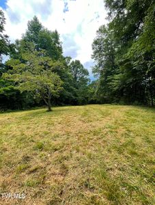 Raven Cliff Rd, Erwin, TN, 37650