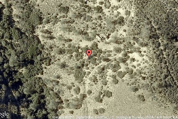 Map View