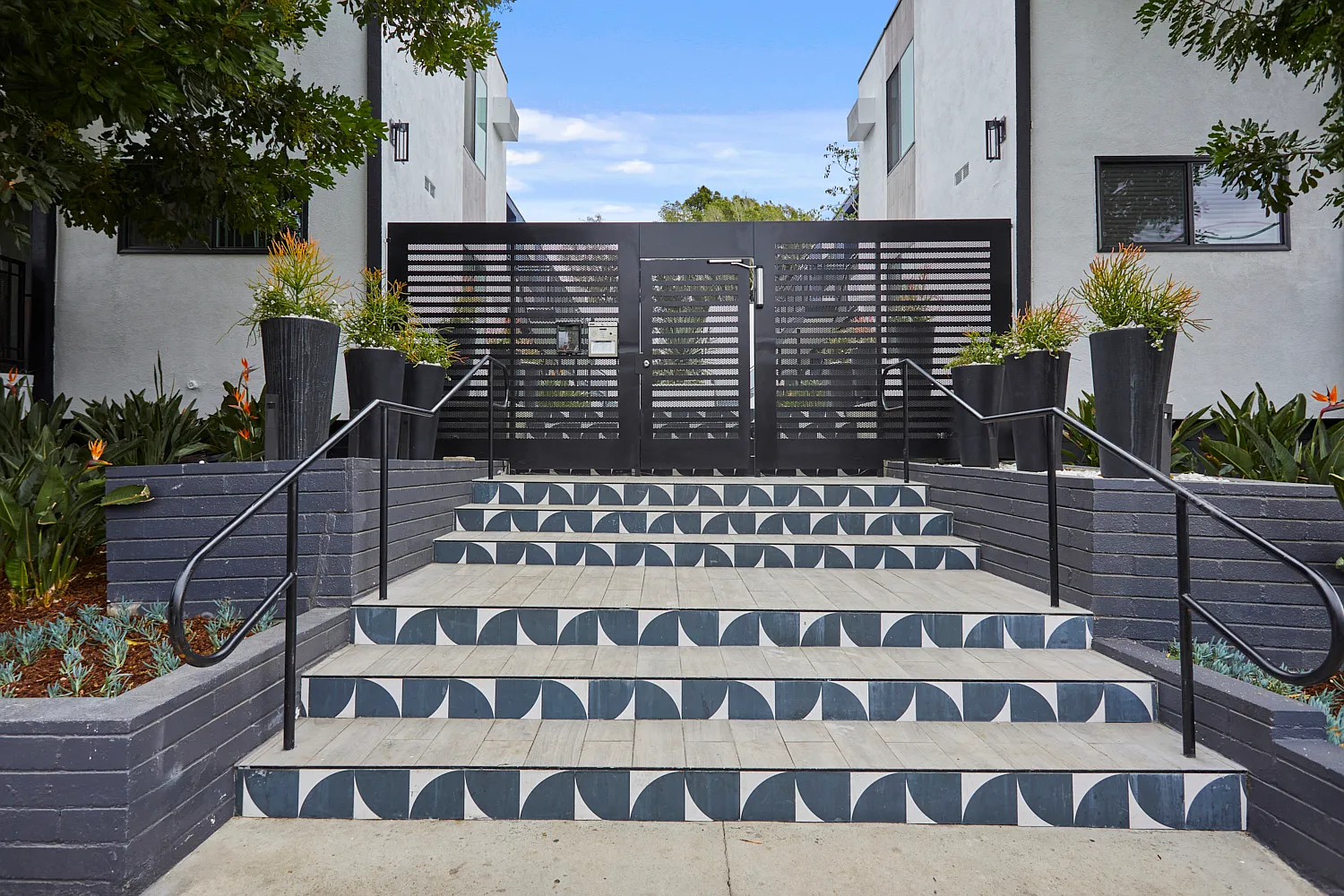 Callie on Curson — Photo 3