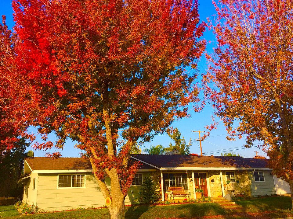 Fall View