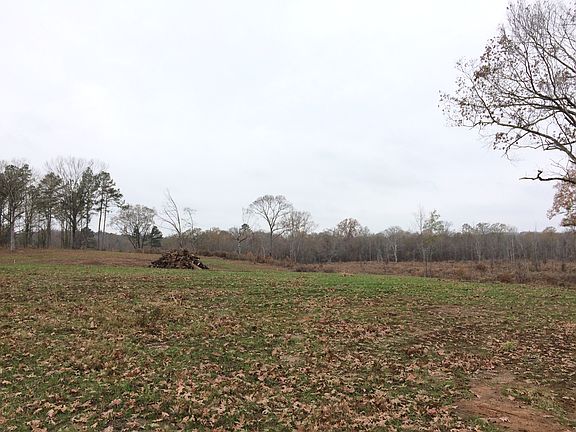 2nd image of 229 Show Horse Ln