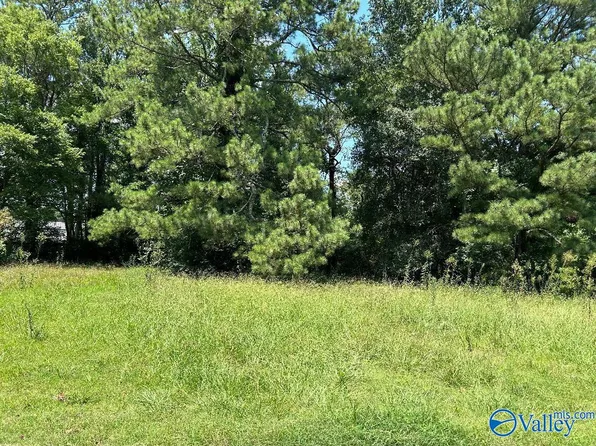 1408 Plato Jones St, Athens, AL 35611