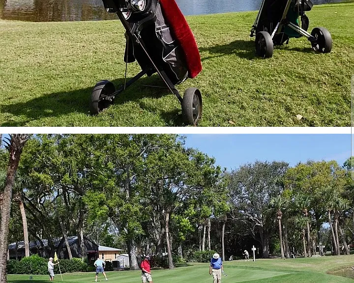 Golf __ area
