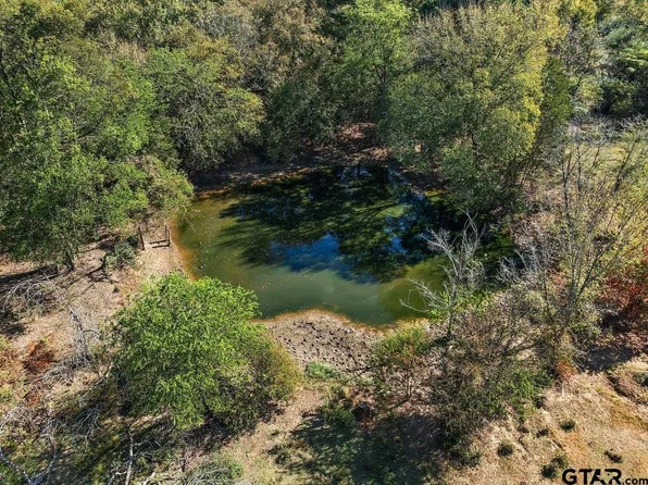 38.79 Acres, Alto, TX 75925