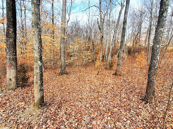 4th image of 0 Preston Baggett Rd Lot 2