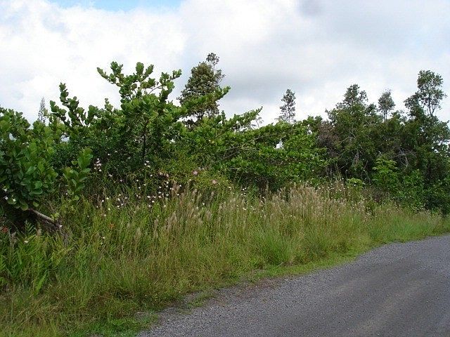 2nd image of 2nd Ave Lot 2781