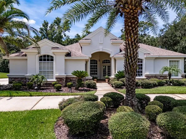 6031 Audubon Manor Blvd, Lithia, FL 33547