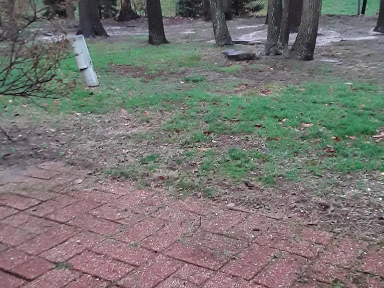 Backyard patio,( Great place to relax,or do your outdoor grilling.)