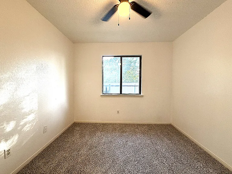 3203 Honeysuckle Dr — Photo 14
