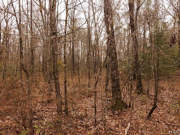 3rd image of 3 Jug Factory Rd