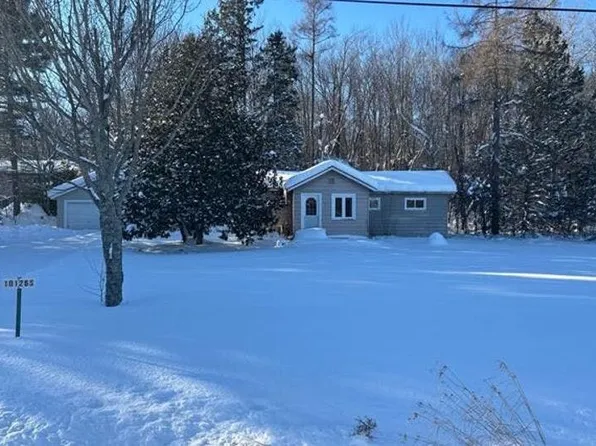 10126 S Wilson Dr, Dafter, MI 49724