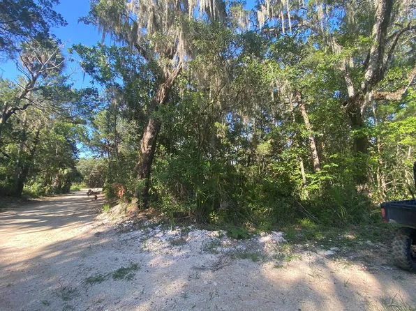 Lot 12 Granger Rd, Steinhatchee, FL 32359