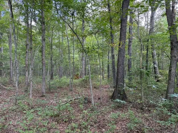 2103 Goforth Rd, Morrison, TN 37357