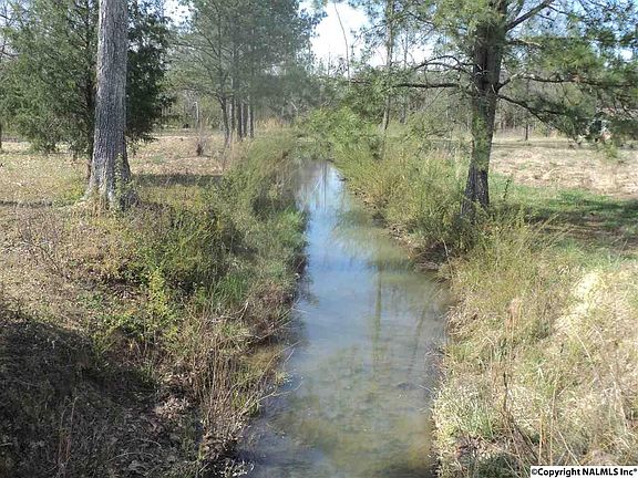 2nd image of 5225 County Road 19