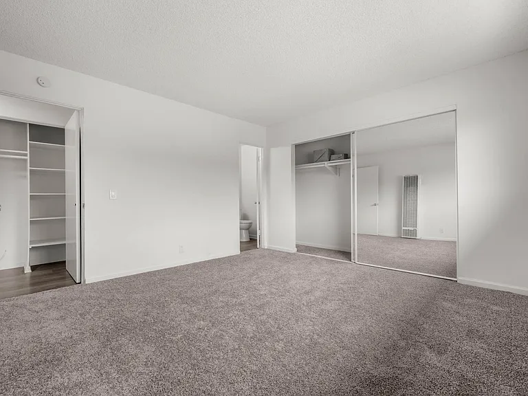 New Carpeting