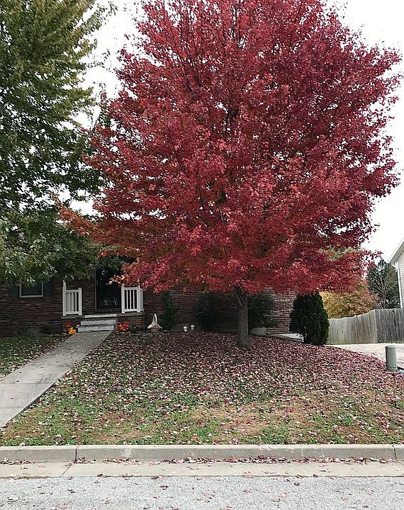 1st image of 1615 Amanda Dr