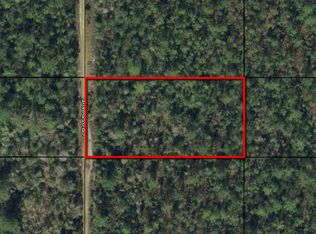 Crotty Ave, Bunnell, FL 32110