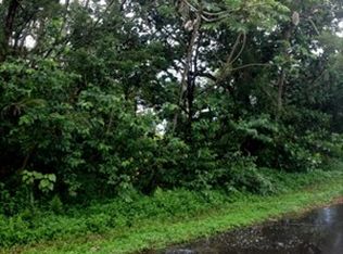 7th Ave LOT 2119, Keaau, HI 96749