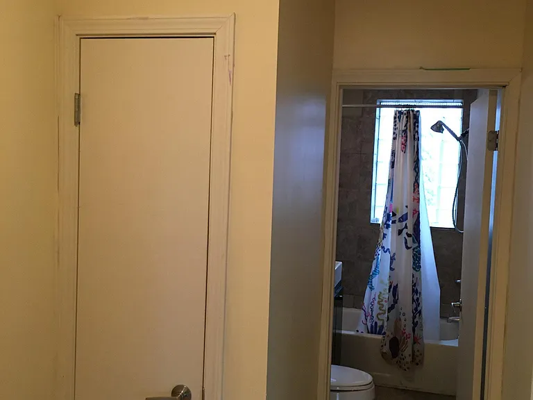 Hall/Coat closet