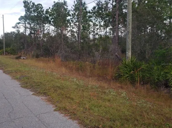 Nutmeg St Lot 10, Orlando, FL 32833