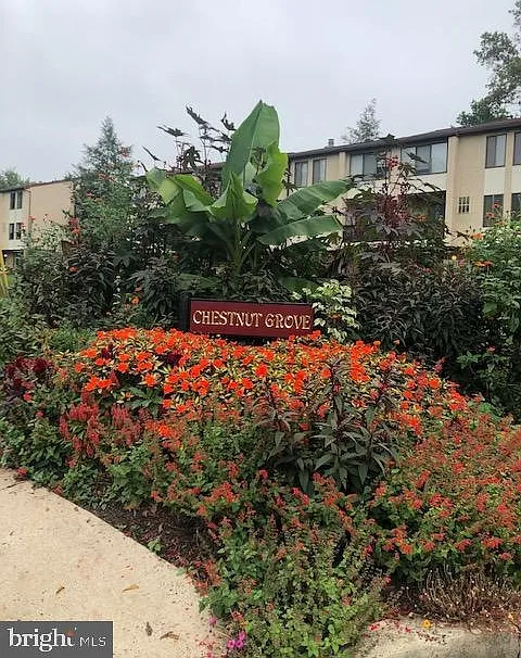 11-8 Aspen Way