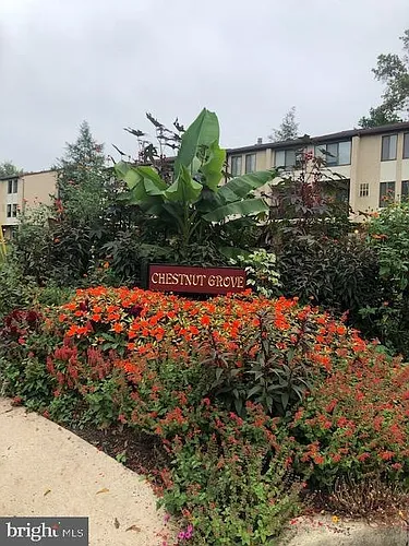 11-8 Aspen Way Photo 1