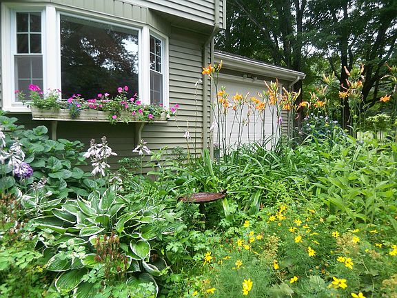 Perennial gardens explode with color!