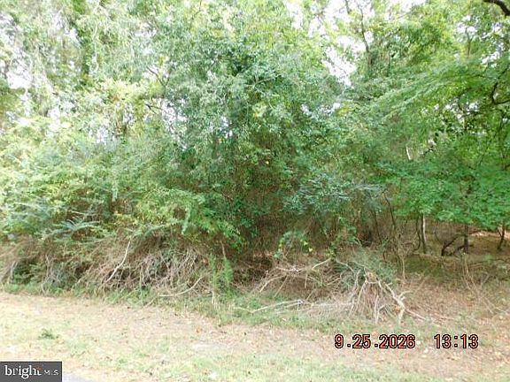 4th image of 100 Roland Parks Rd