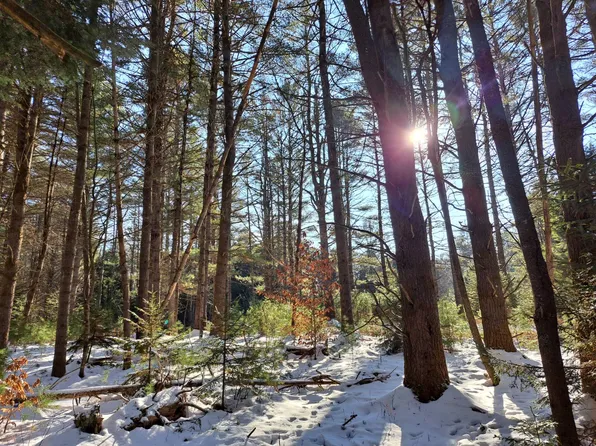 L-17 Rice Rd, Northville, NY 12134