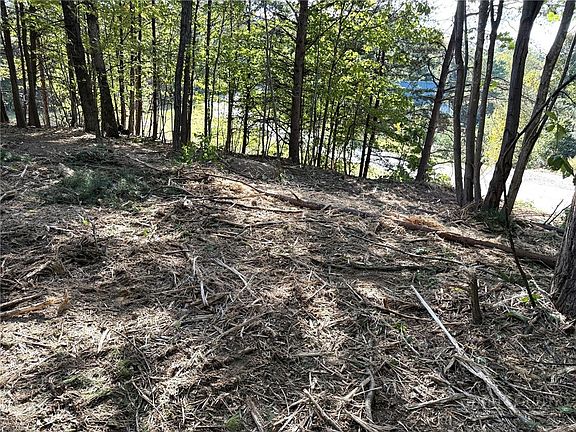 4th image of TBD Ridge Run Road