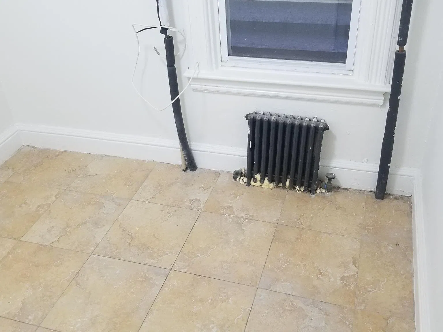 48 Caroline Ave — Photo 4