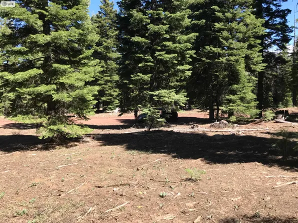 0 Cal Pines St, Alturas, CA 96101