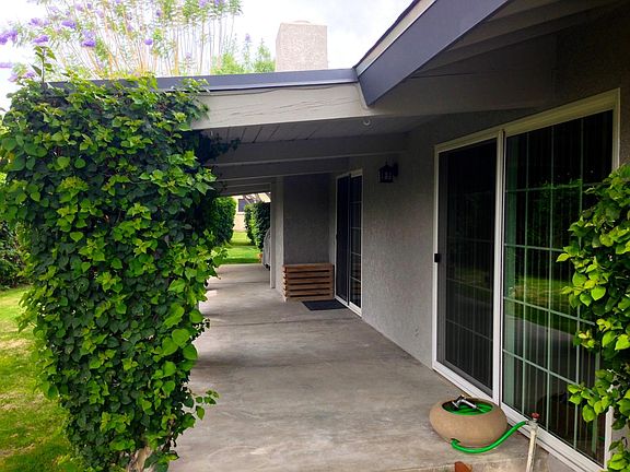 Back Patio