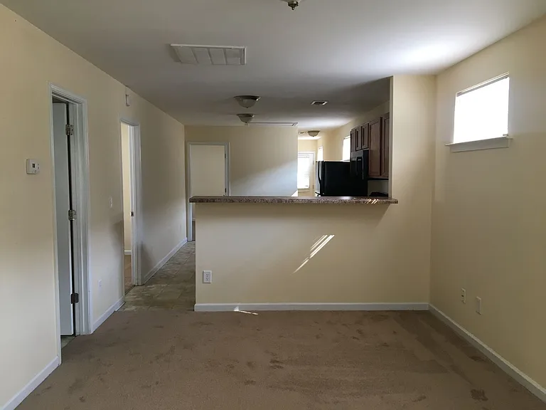 1037 Rabon Pond Dr — Photo 2